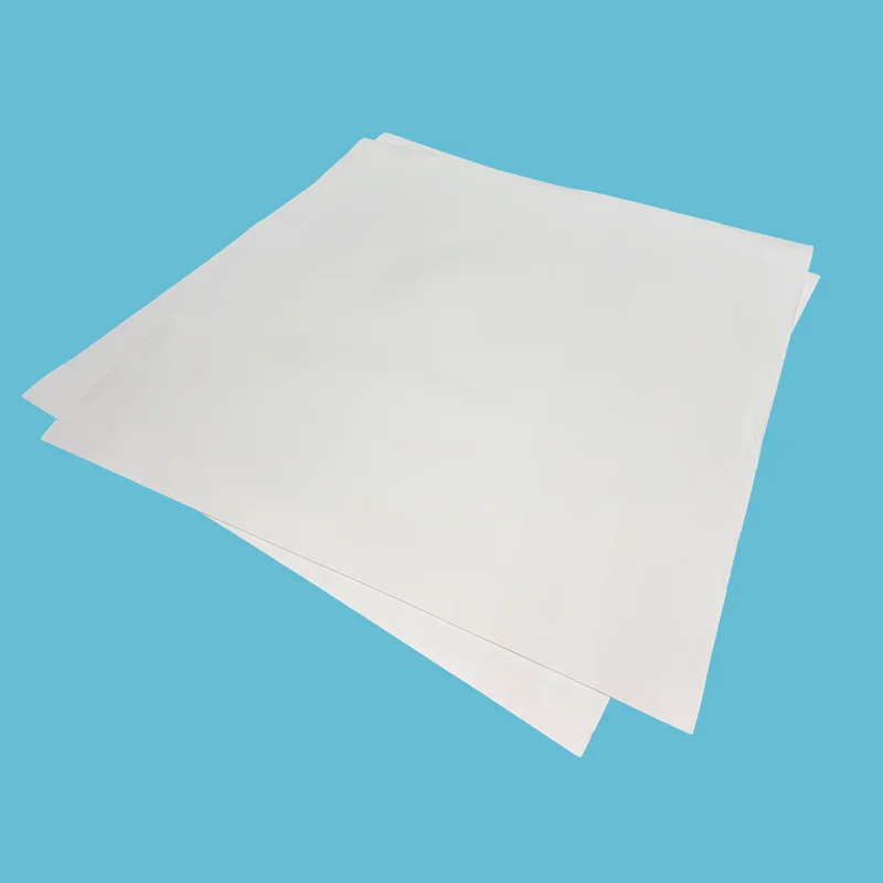Genişletilmiş PTFE Sayfası